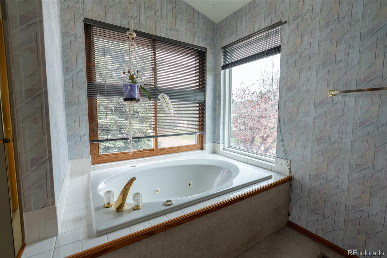 MLS Image #16 for 2455  clayton court,colorado springs, Colorado