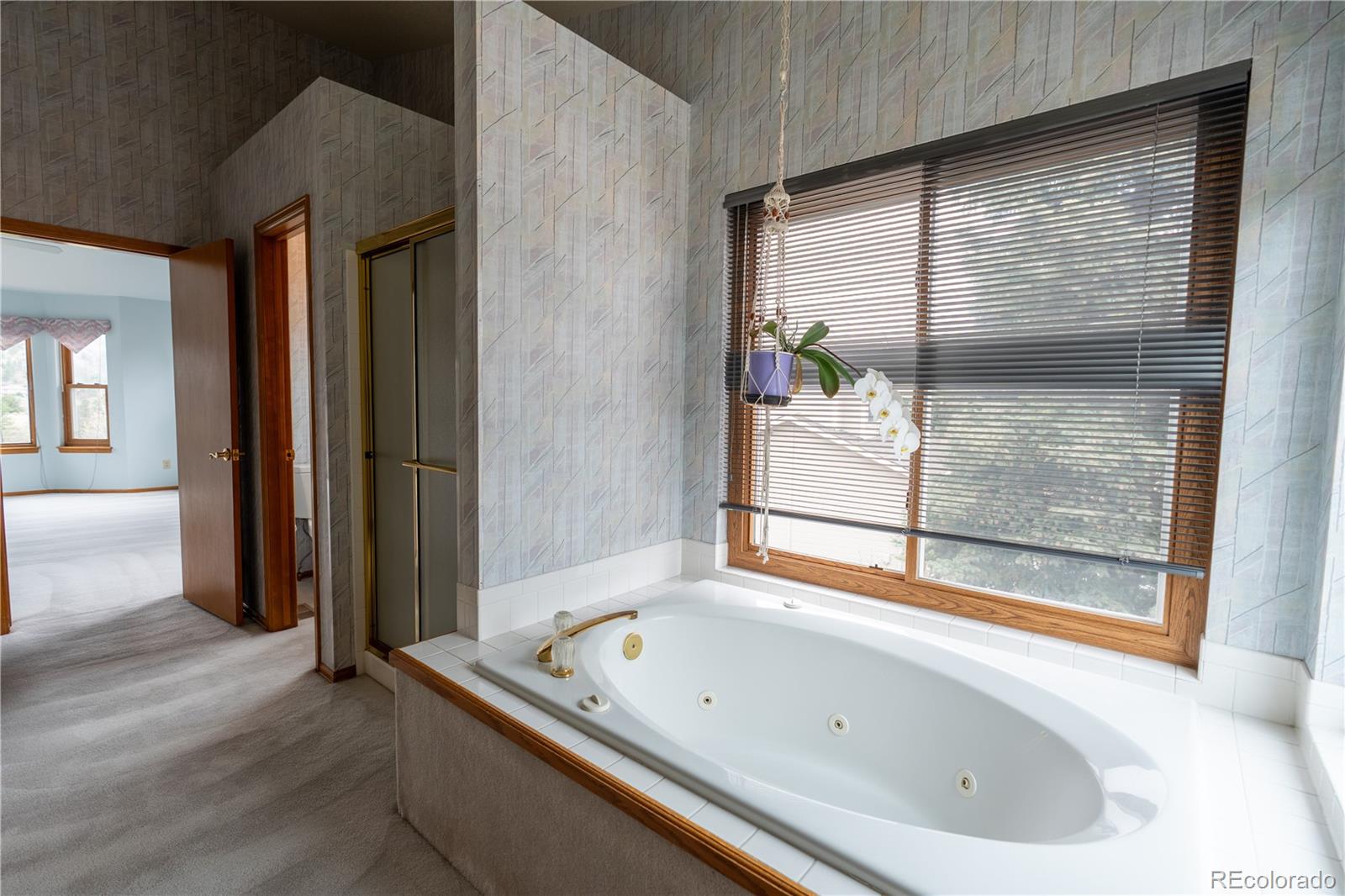 MLS Image #17 for 2455  clayton court,colorado springs, Colorado