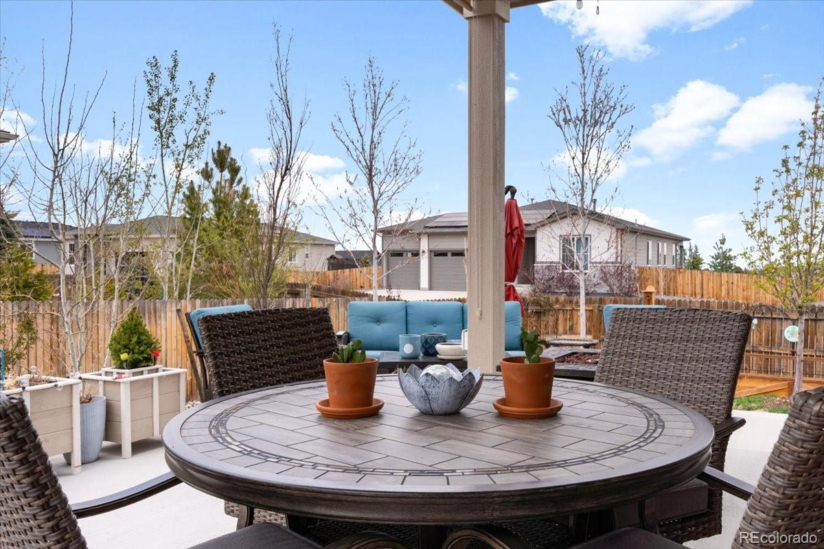 MLS Image #31 for 1694  castle vista way,castle rock, Colorado