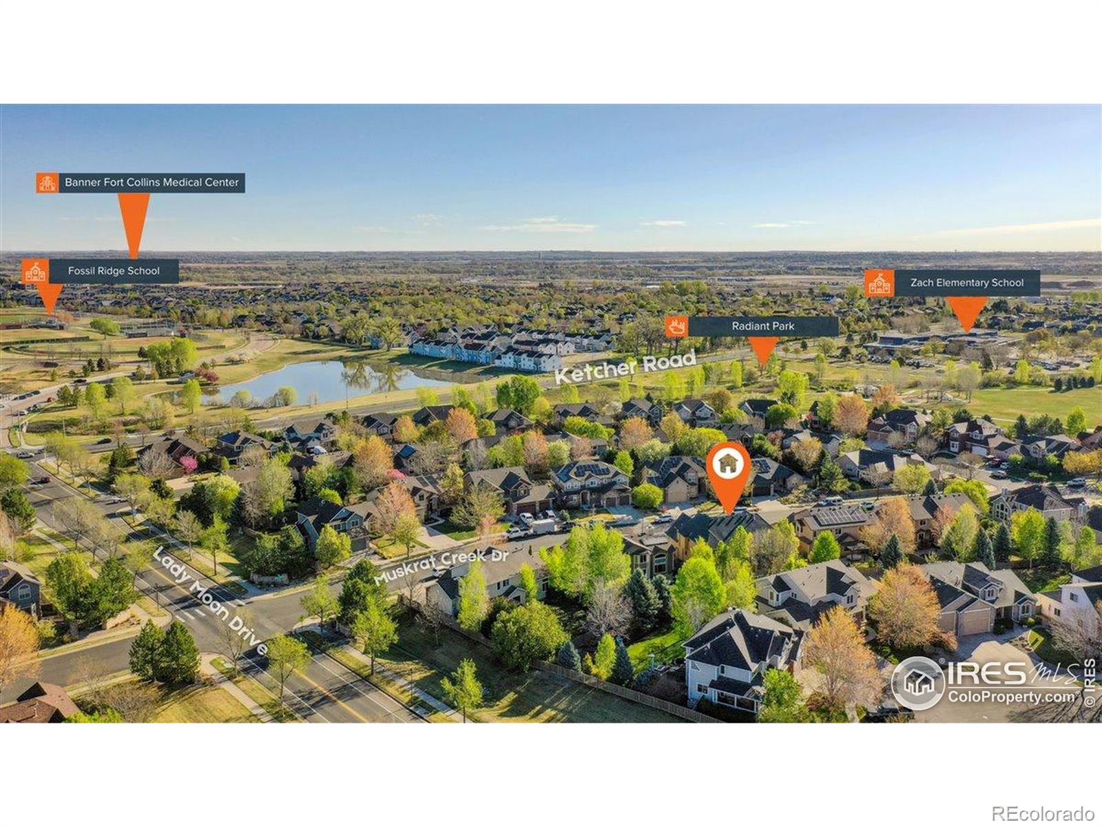 MLS Image #1 for 3415  muskrat creek drive,fort collins, Colorado