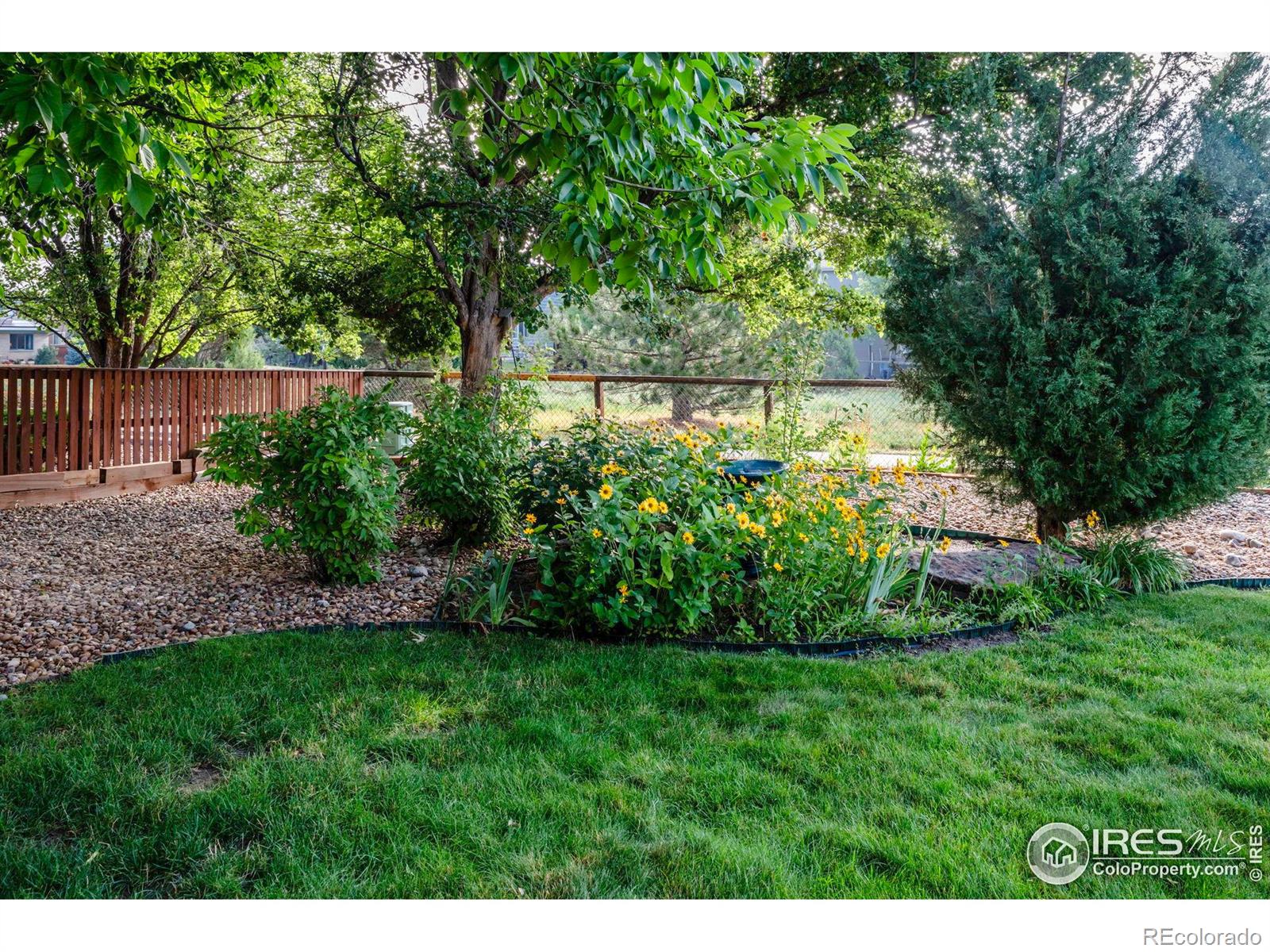 MLS Image #10 for 440  orchard drive,louisville, Colorado