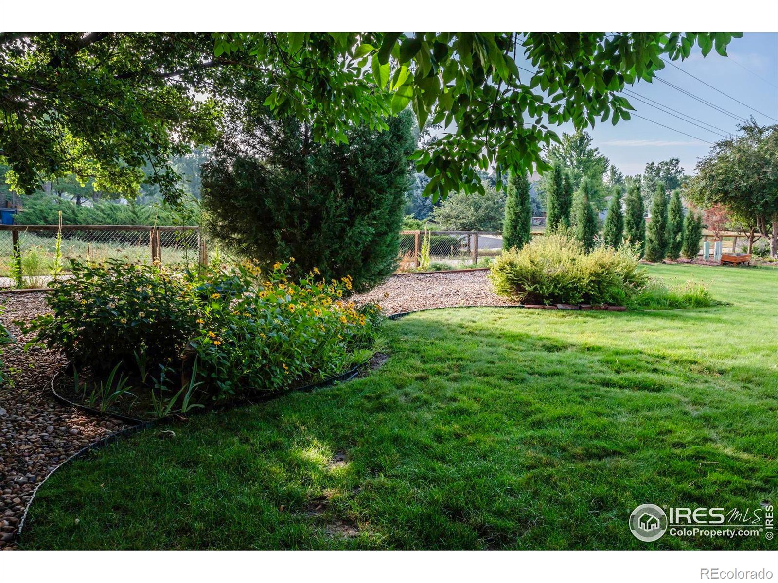 MLS Image #11 for 440  orchard drive,louisville, Colorado