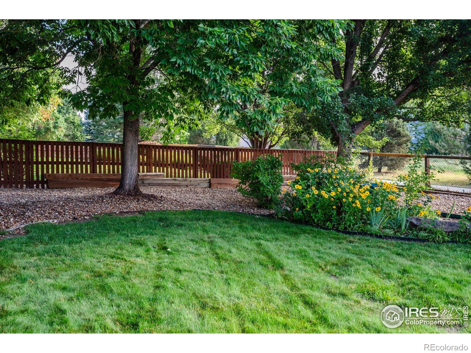 MLS Image #8 for 440  orchard drive,louisville, Colorado