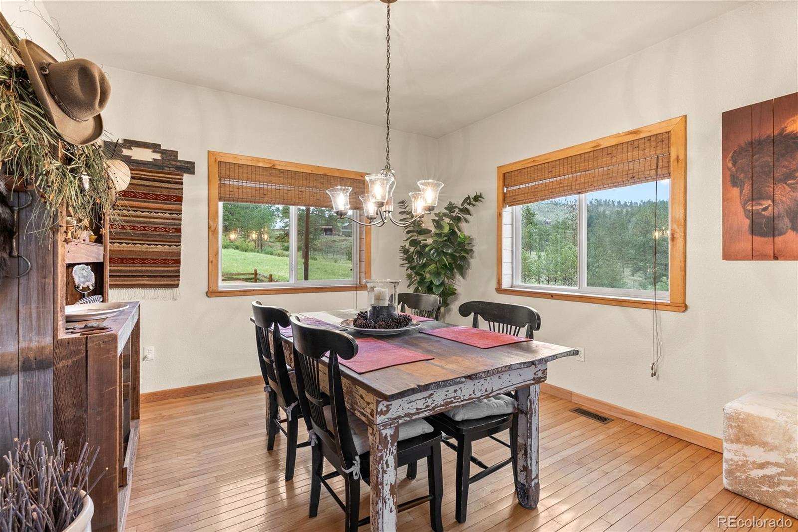 MLS Image #19 for 15608  ouray road,pine, Colorado