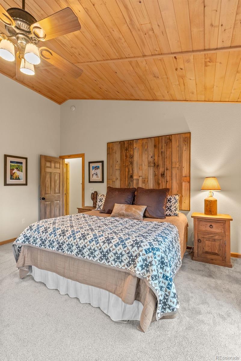 MLS Image #20 for 15608  ouray road,pine, Colorado