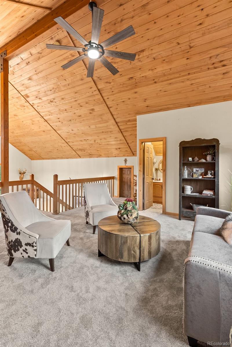 MLS Image #29 for 15608  ouray road,pine, Colorado