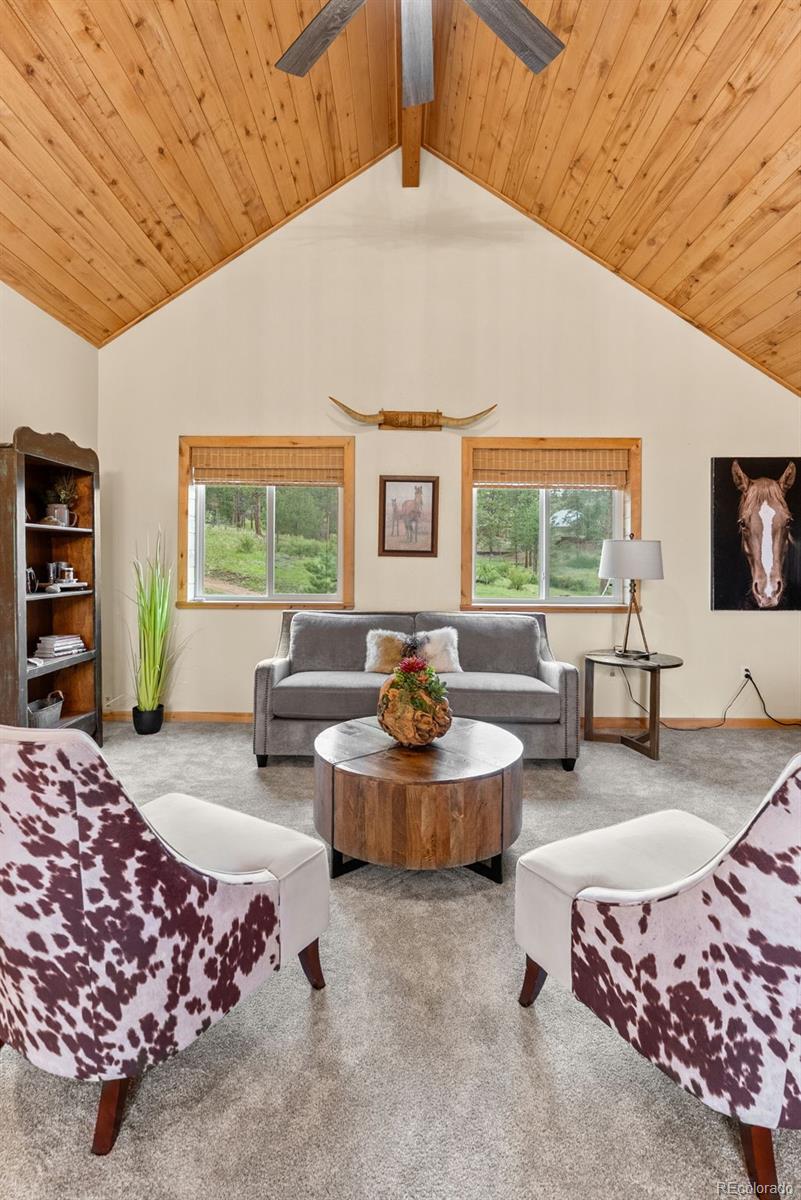 MLS Image #30 for 15608  ouray road,pine, Colorado