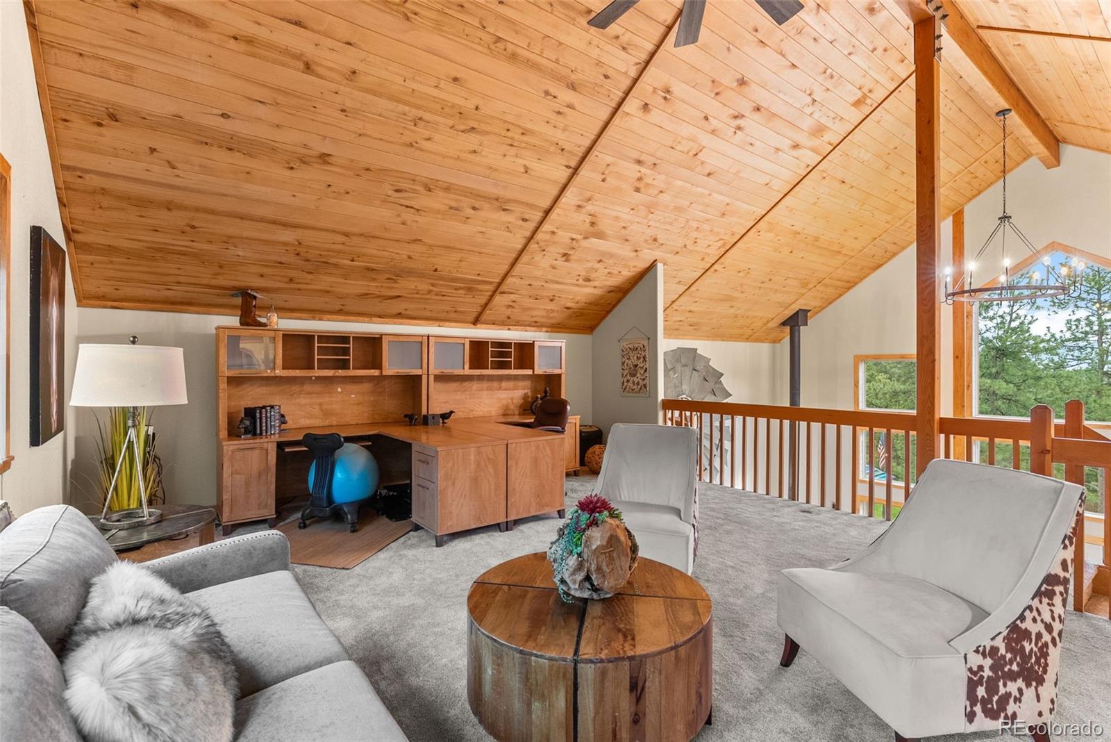 MLS Image #31 for 15608  ouray road,pine, Colorado