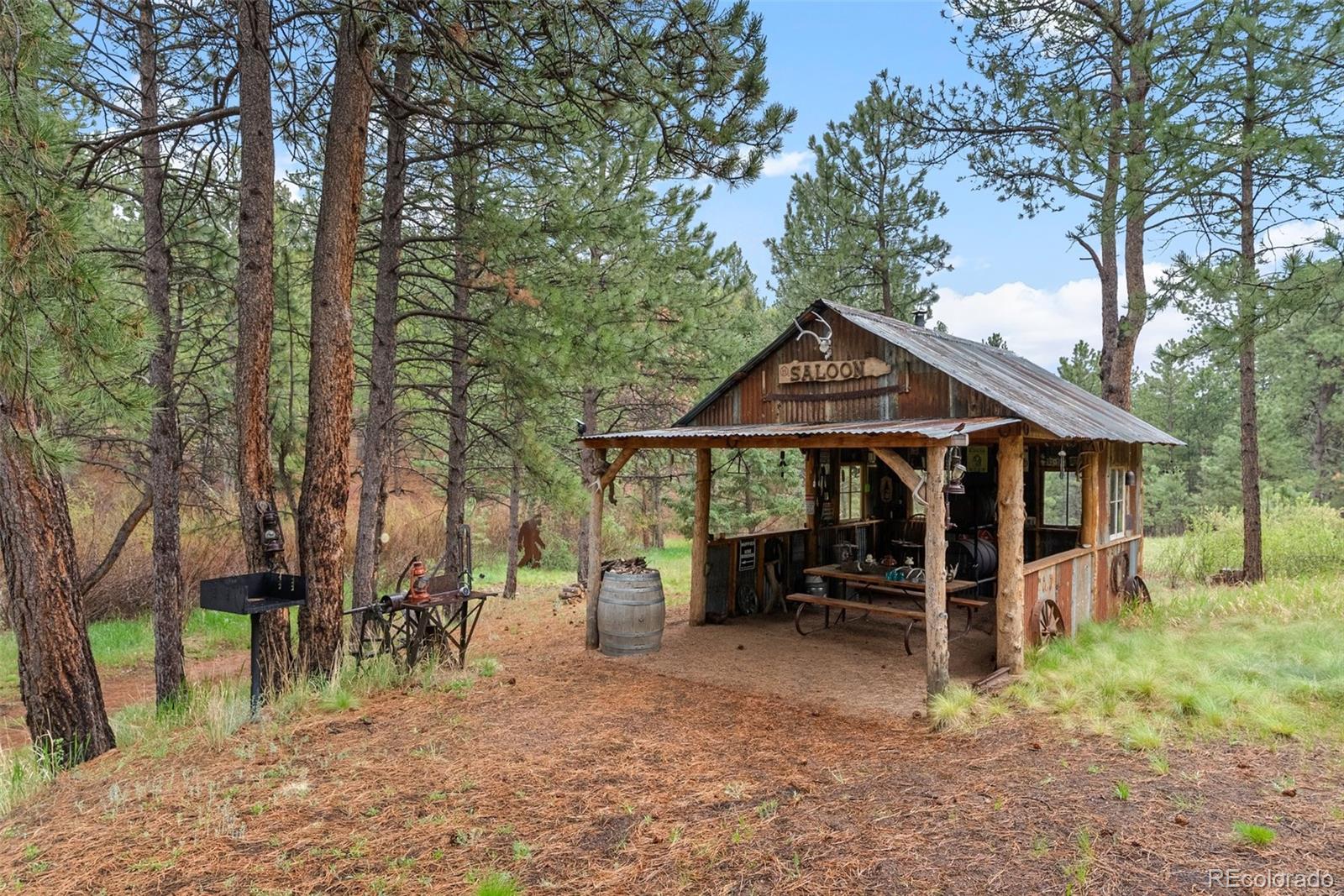 MLS Image #4 for 15608  ouray road,pine, Colorado