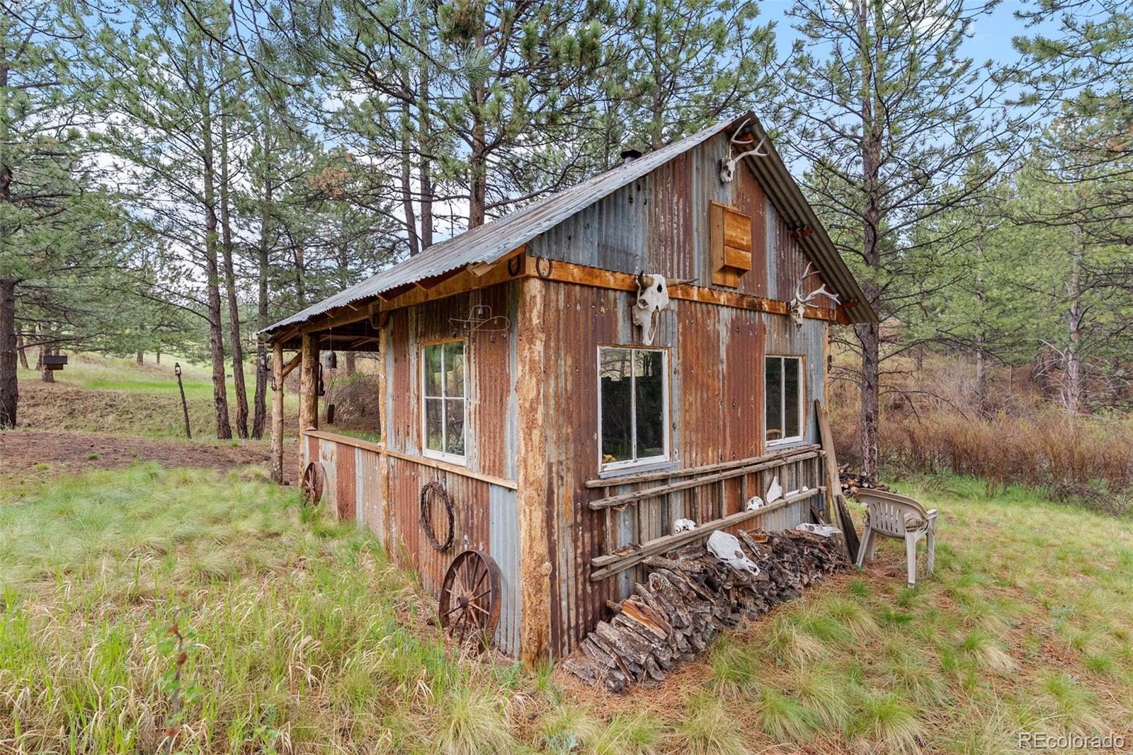 MLS Image #5 for 15608  ouray road,pine, Colorado