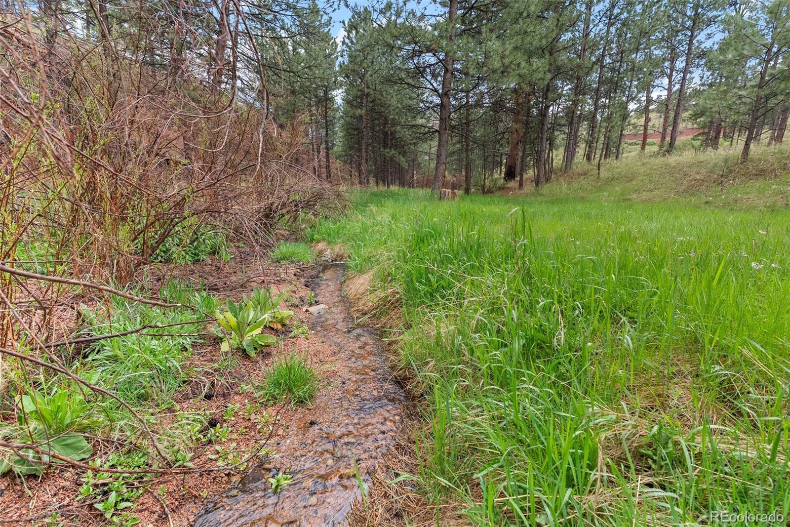MLS Image #7 for 15608  ouray road,pine, Colorado
