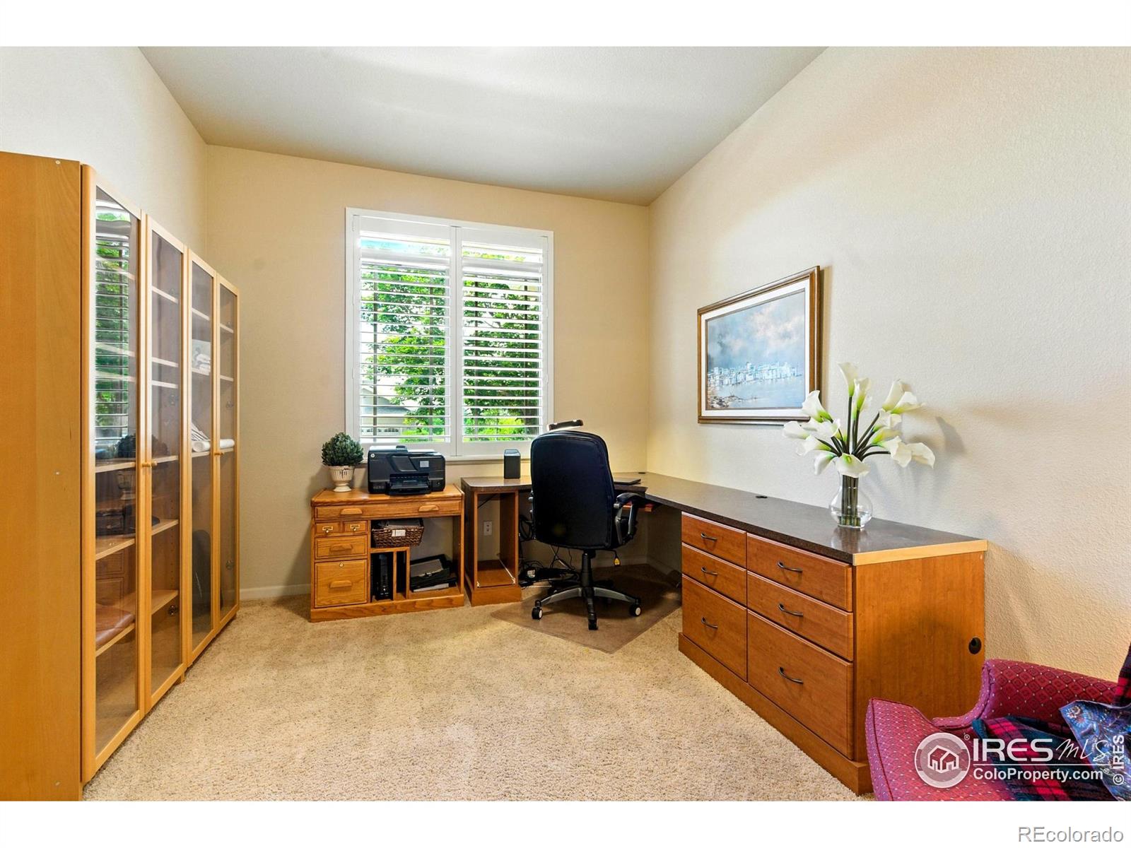 MLS Image #8 for 6836  spanish bay drive,windsor, Colorado
