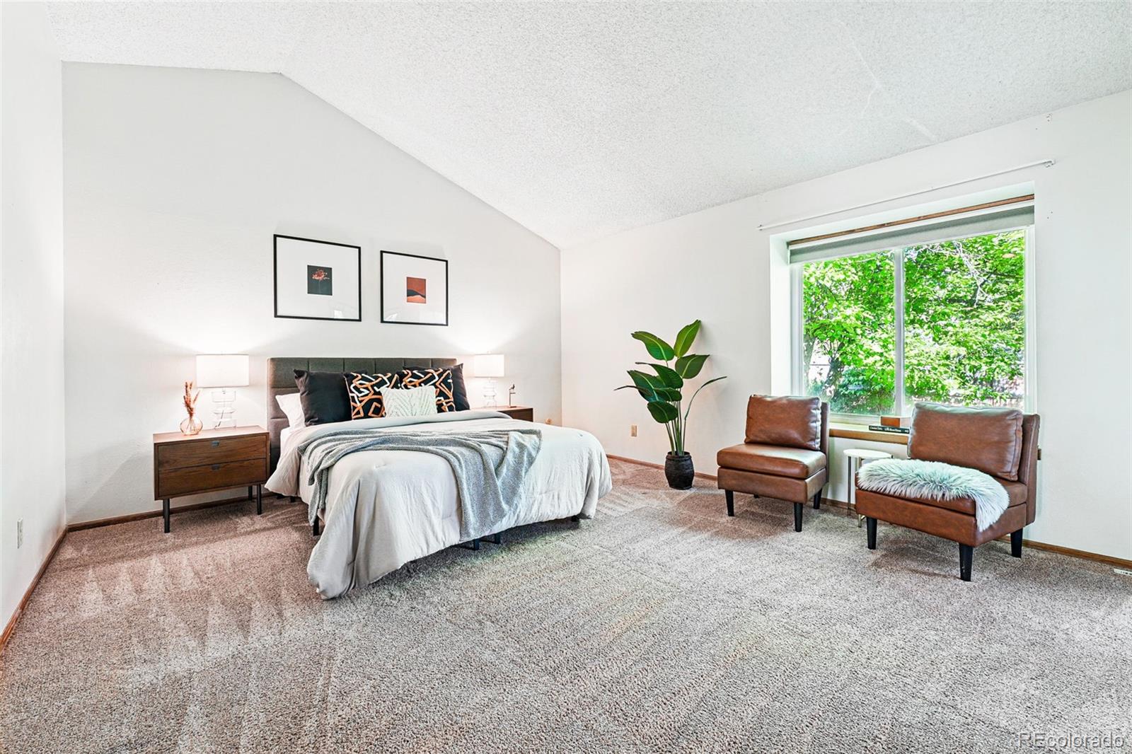 MLS Image #20 for 7548 s crocker court,littleton, Colorado