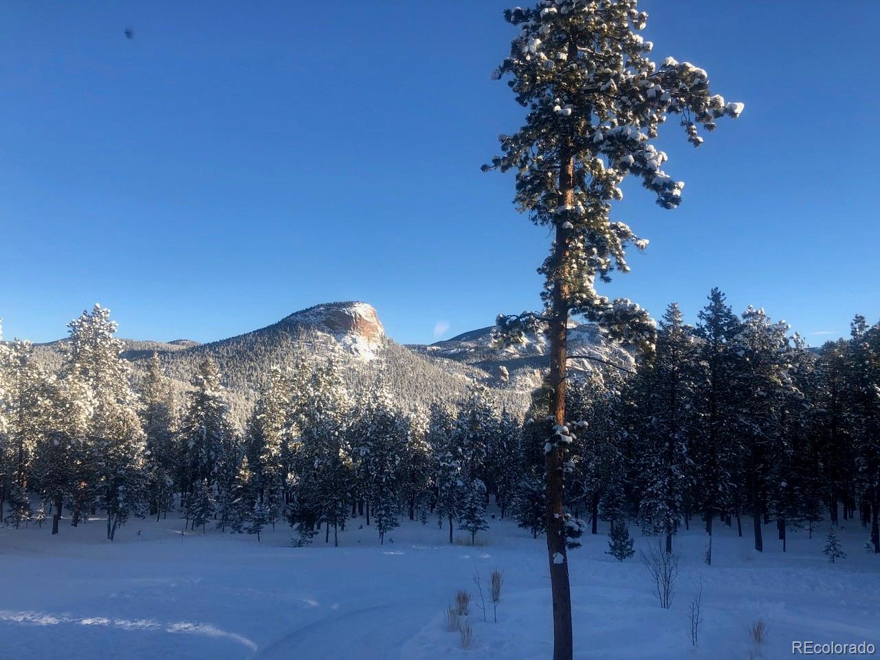 MLS Image #44 for 306  spring drive,pine, Colorado