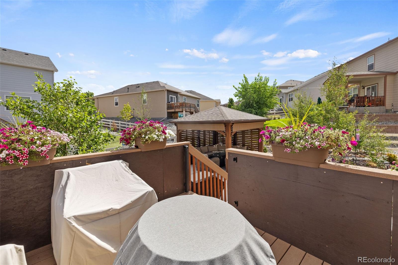 MLS Image #29 for 5842  high timber circle,castle rock, Colorado