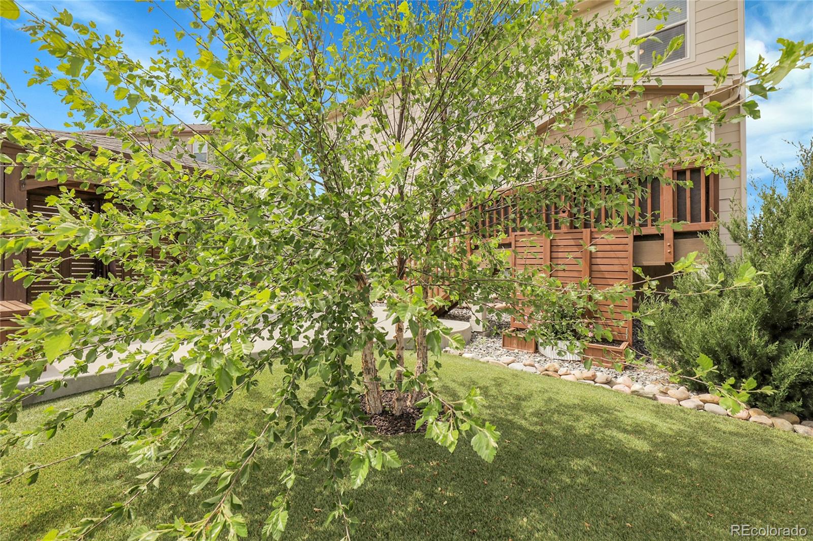MLS Image #30 for 5842  high timber circle,castle rock, Colorado