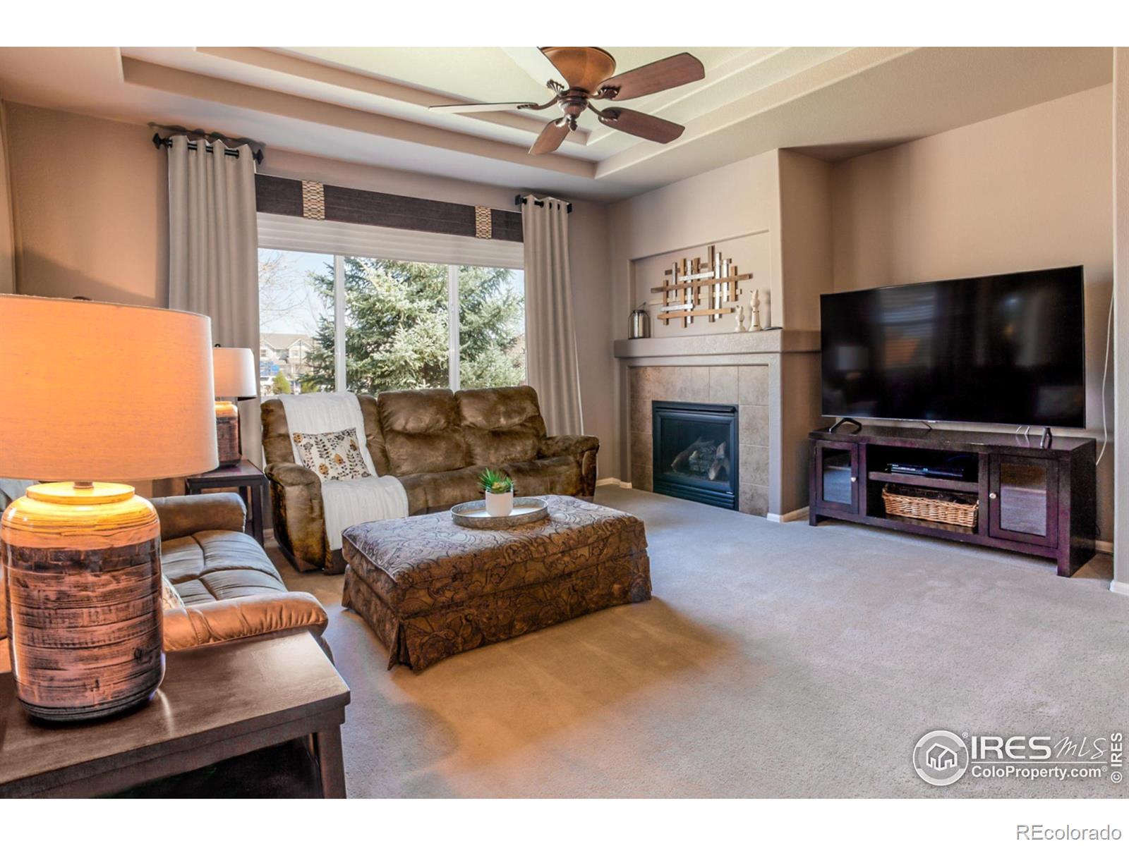 MLS Image #6 for 6478  mayfair avenue,timnath, Colorado