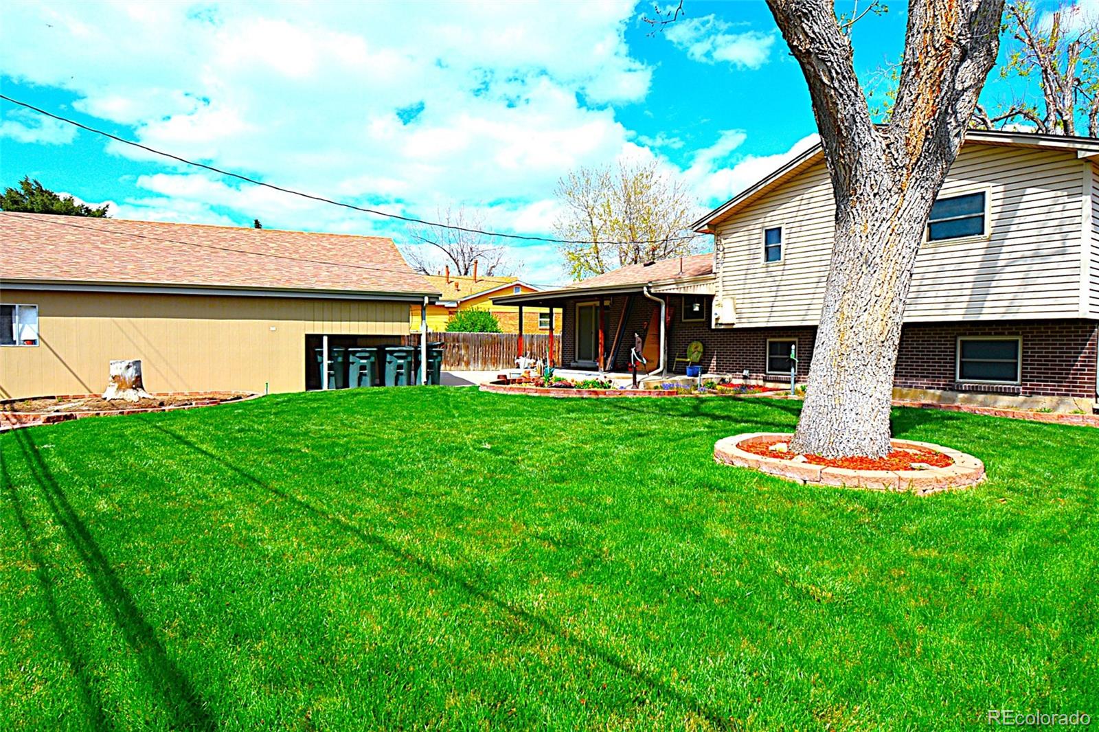MLS Image #6 for 11823  williams way,northglenn, Colorado