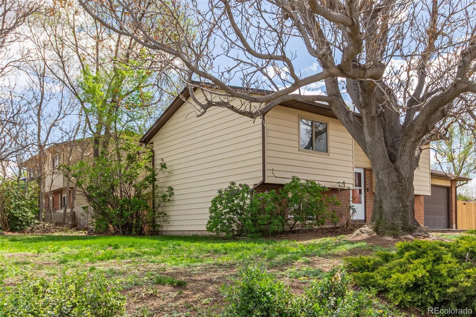 MLS Image #5 for 778  2nd street,firestone, Colorado