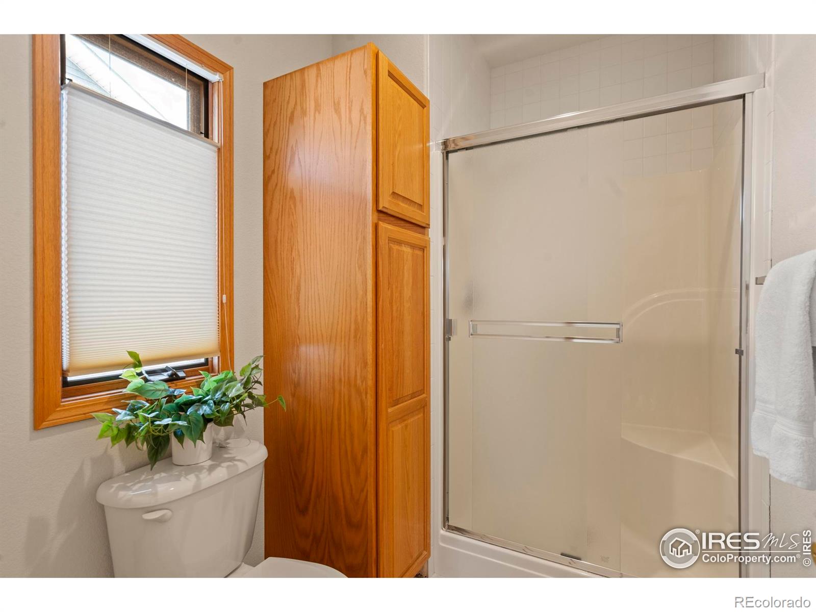 MLS Image #15 for 2151  chesapeake drive,fort collins, Colorado