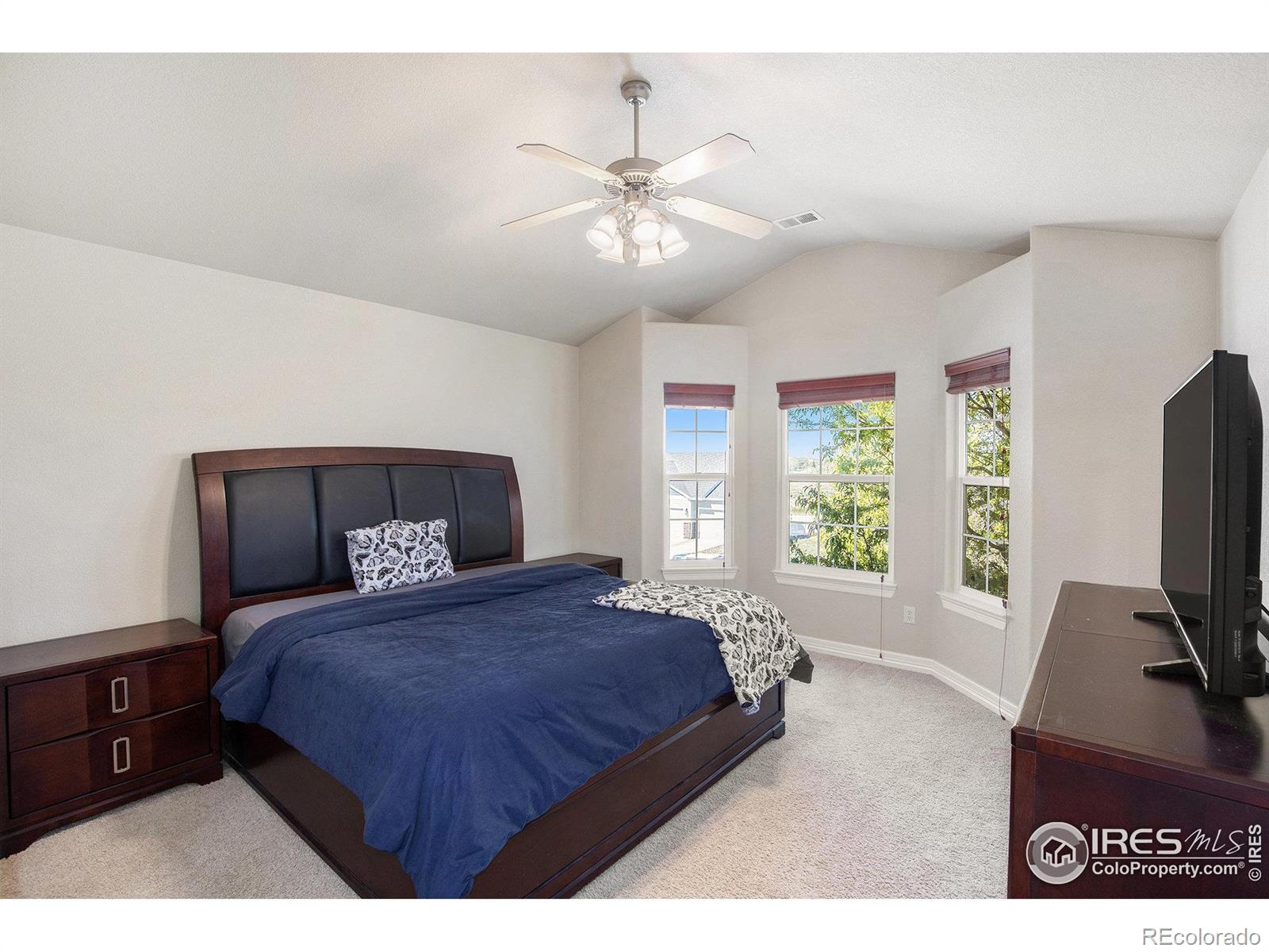 MLS Image #13 for 3602  sienna avenue,evans, Colorado