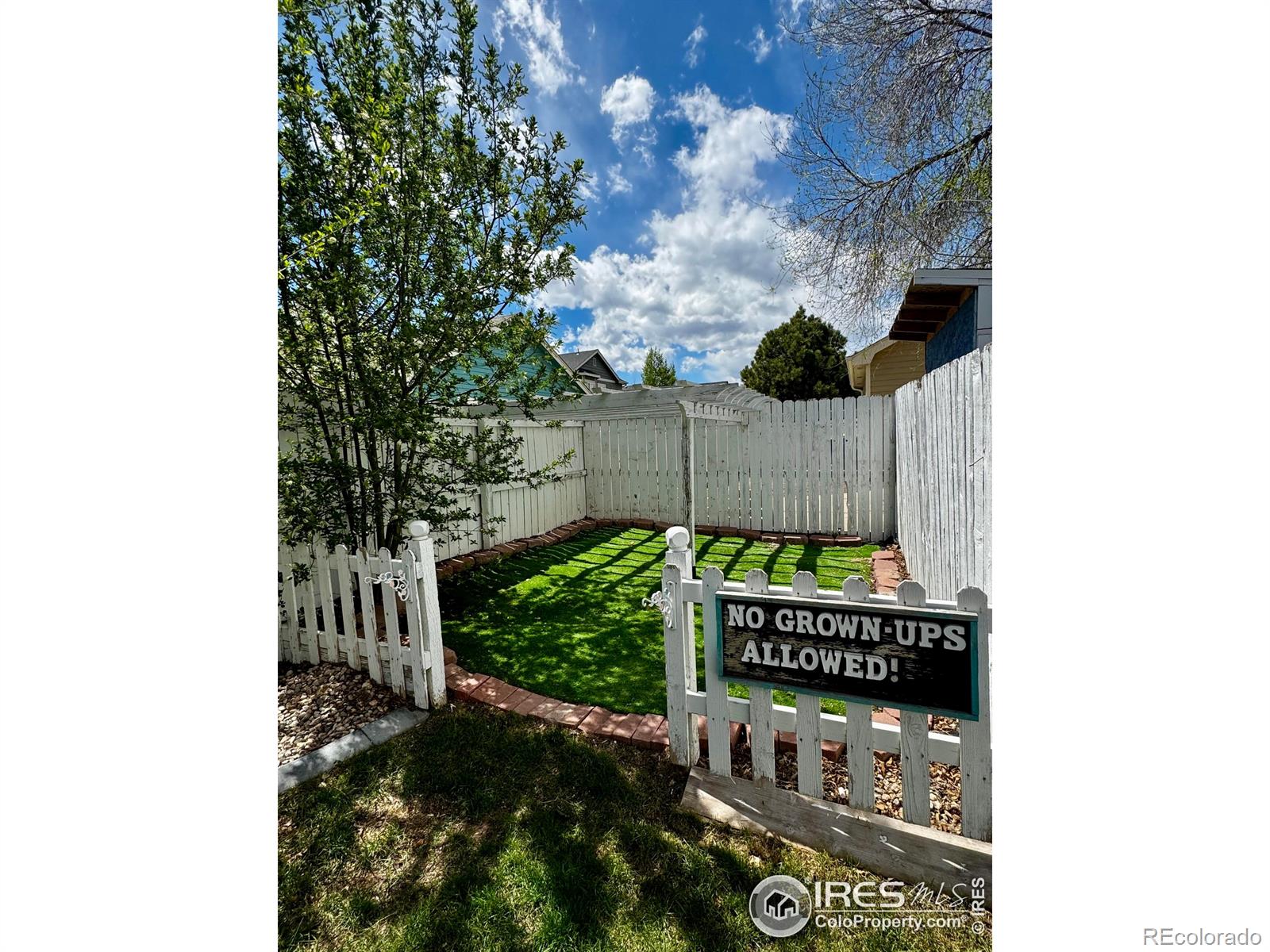 MLS Image #6 for 1429  fairfield avenue,windsor, Colorado