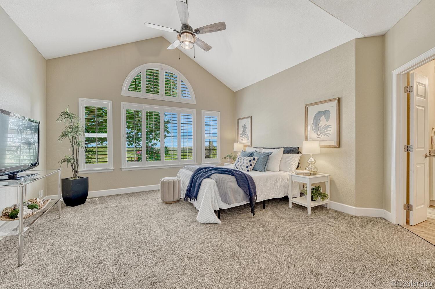 MLS Image #15 for 12344  turquoise terrace street,castle pines, Colorado