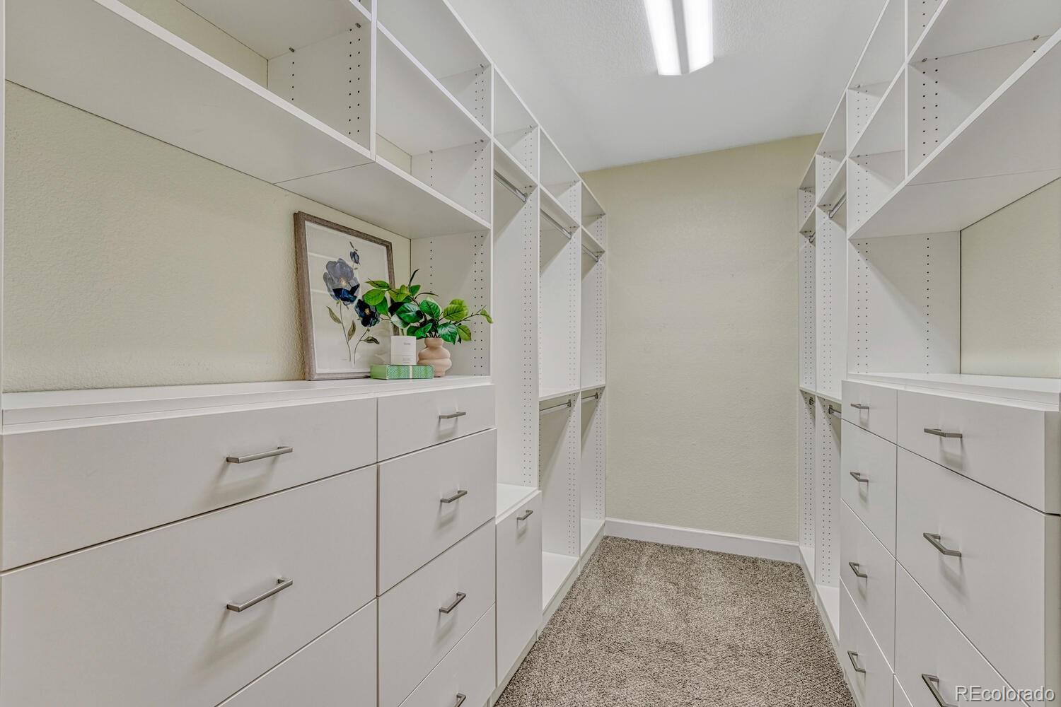 MLS Image #20 for 12344  turquoise terrace street,castle pines, Colorado