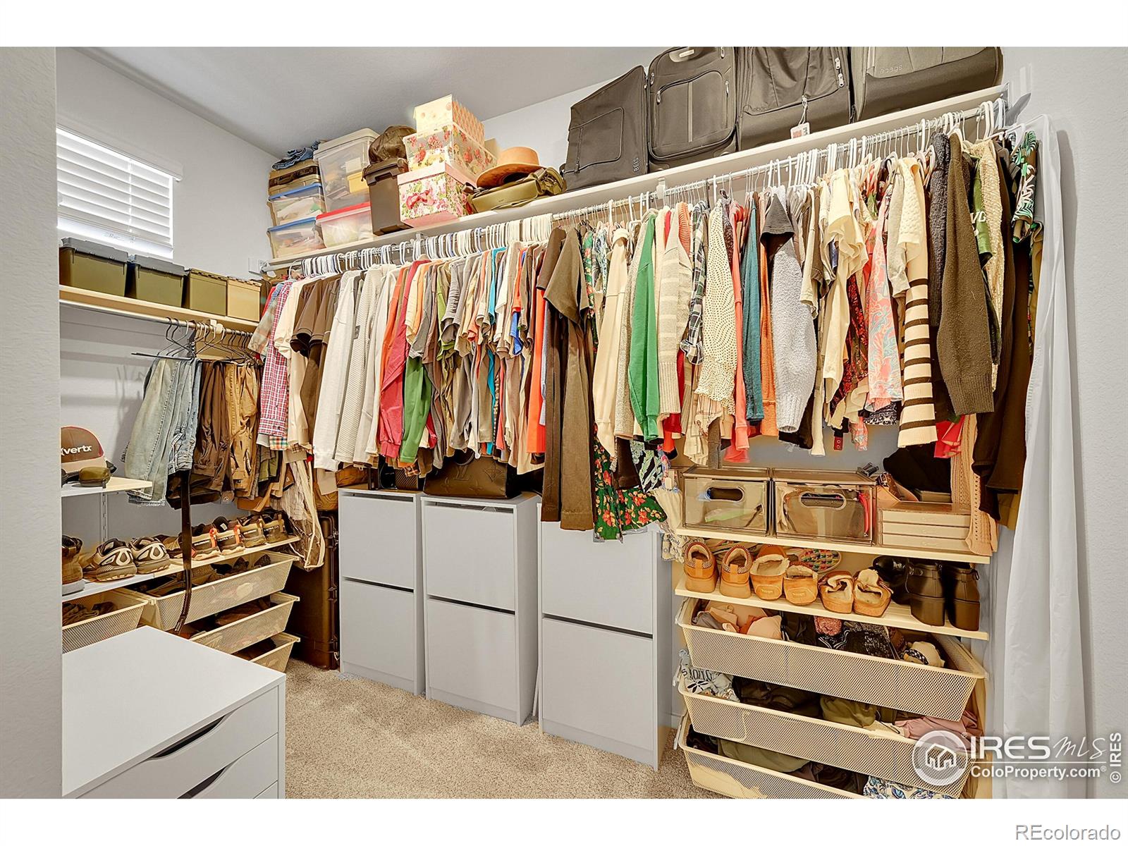 MLS Image #9 for 2086  autumn moon drive,windsor, Colorado