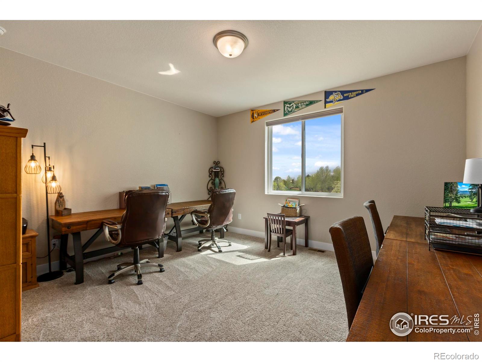 MLS Image #22 for 1603  plank lane,fort collins, Colorado