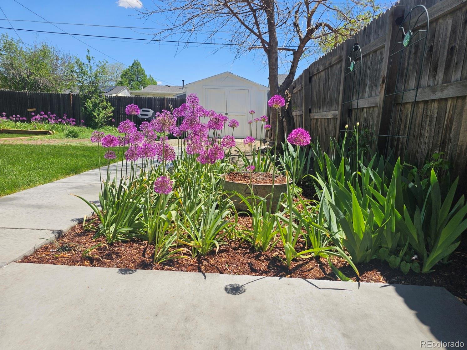 MLS Image #32 for 2274 s cherry street,denver, Colorado