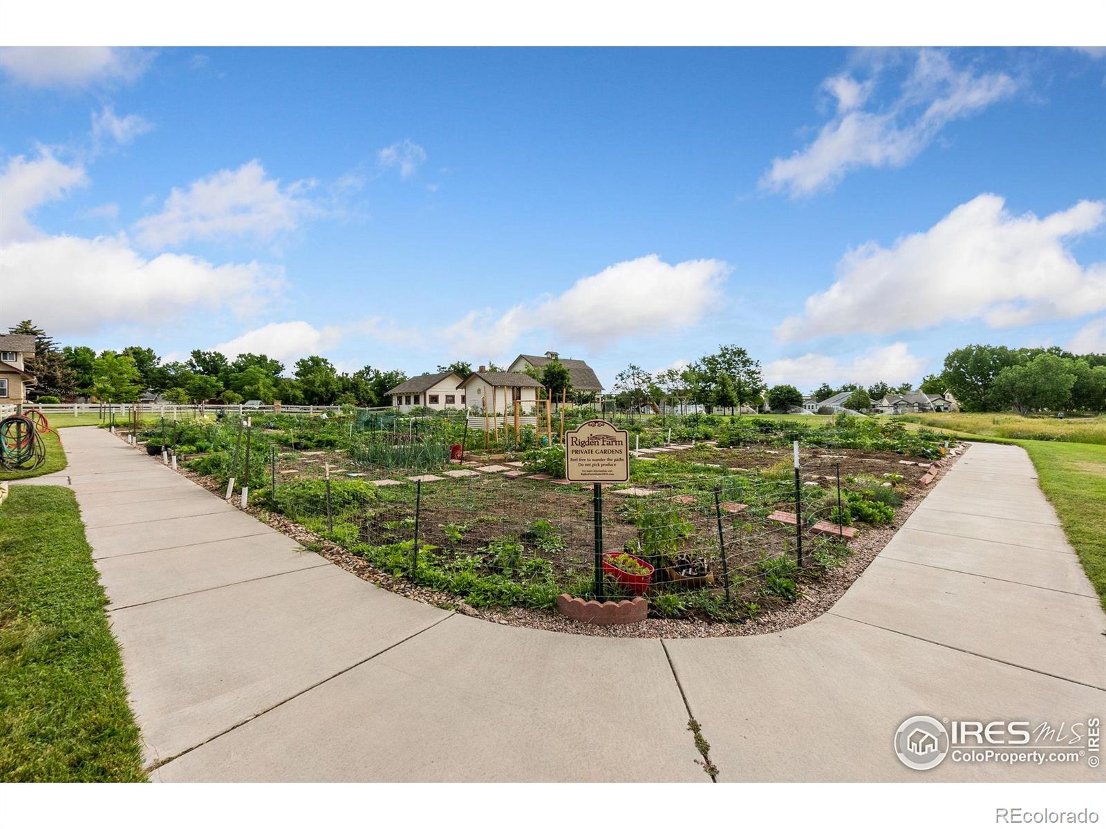 MLS Image #26 for 2832  william neal parkway,fort collins, Colorado