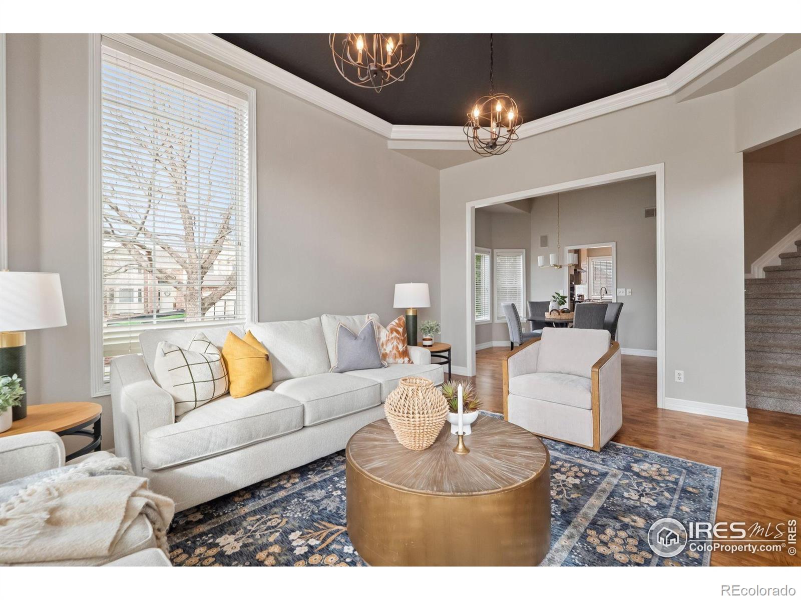 MLS Image #18 for 7270  irwin court,fort collins, Colorado
