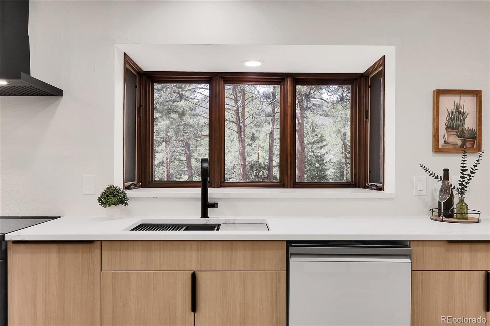 MLS Image #15 for 8782 s ault lane,morrison, Colorado