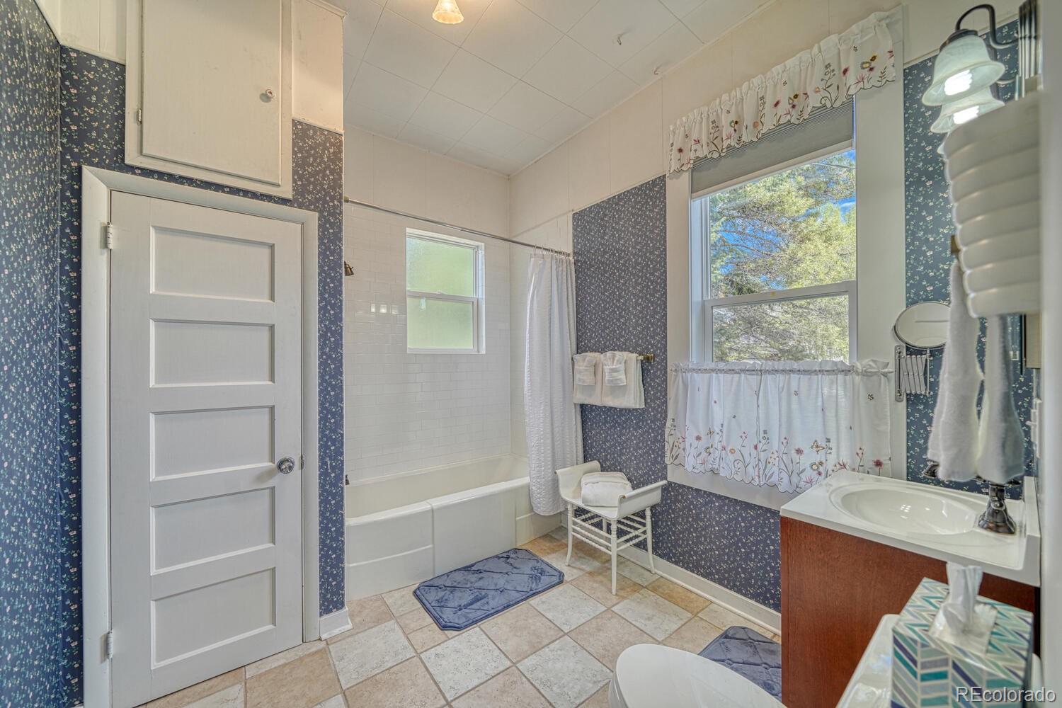 MLS Image #18 for 212 w 6th street,leadville, Colorado