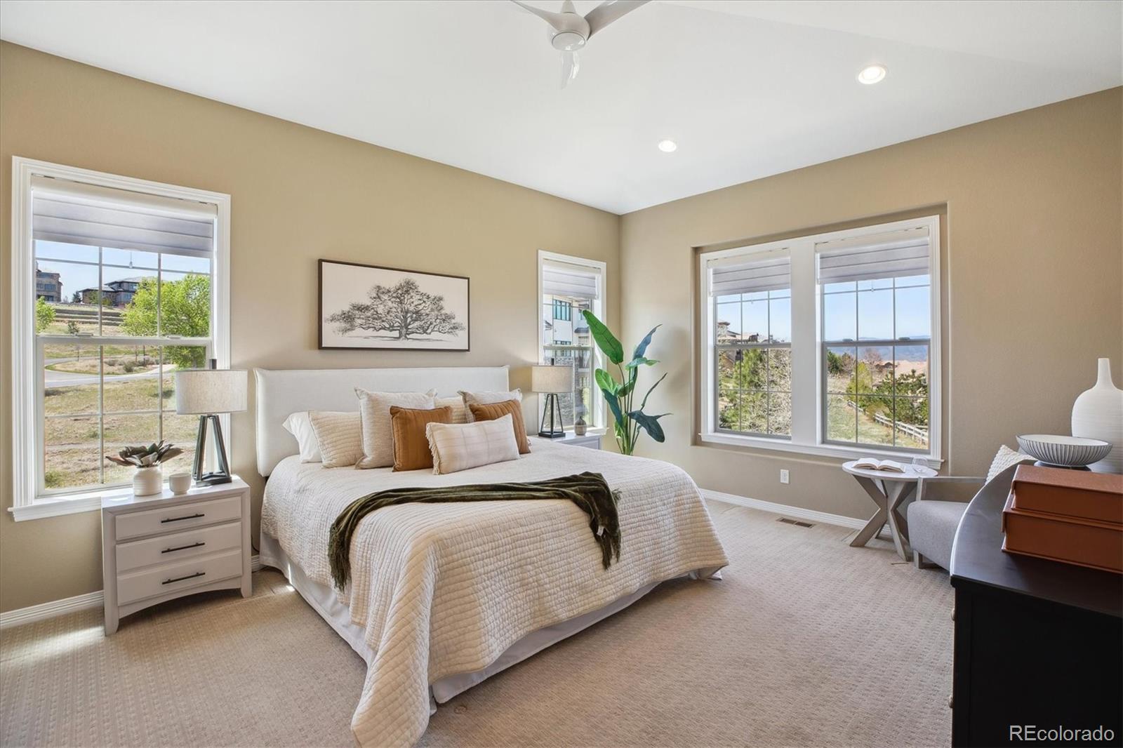 MLS Image #20 for 10731  featherwalk lane,highlands ranch, Colorado