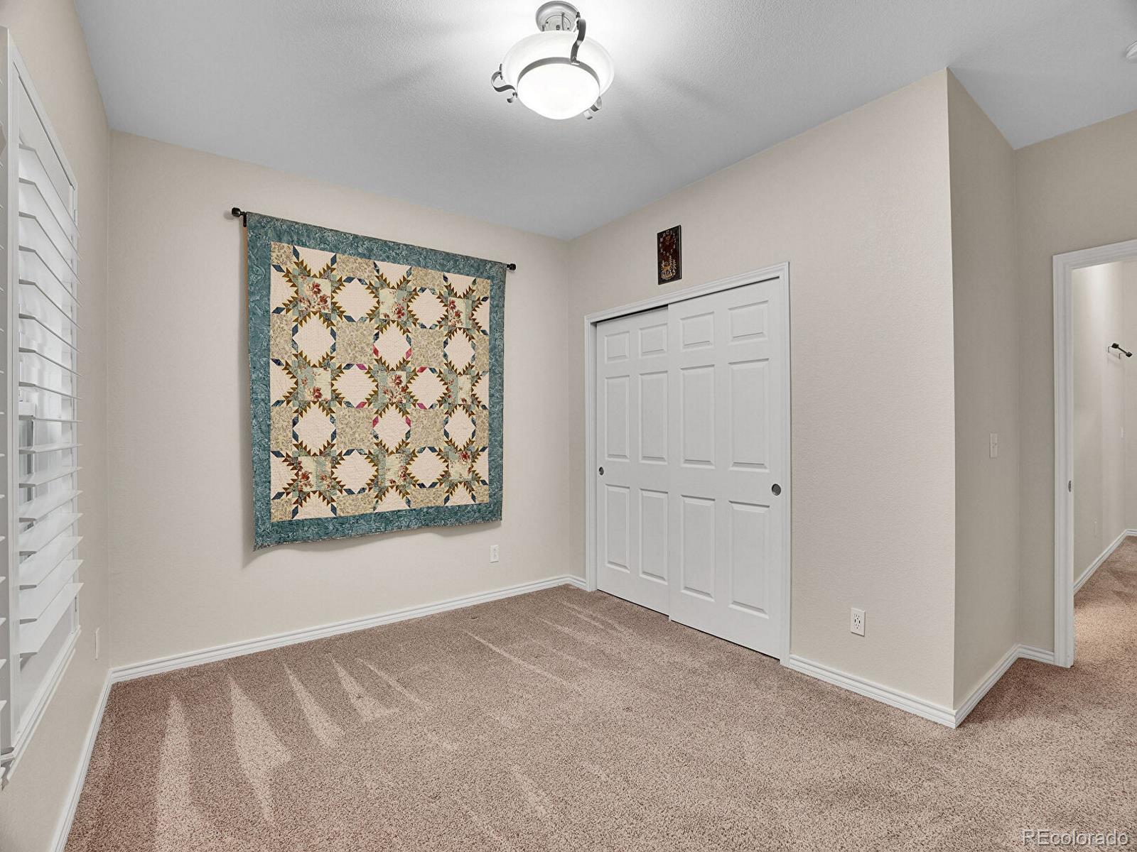 MLS Image #22 for 4501 s tabor court,morrison, Colorado