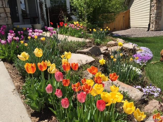 MLS Image #45 for 9265  buttonhill court,highlands ranch, Colorado
