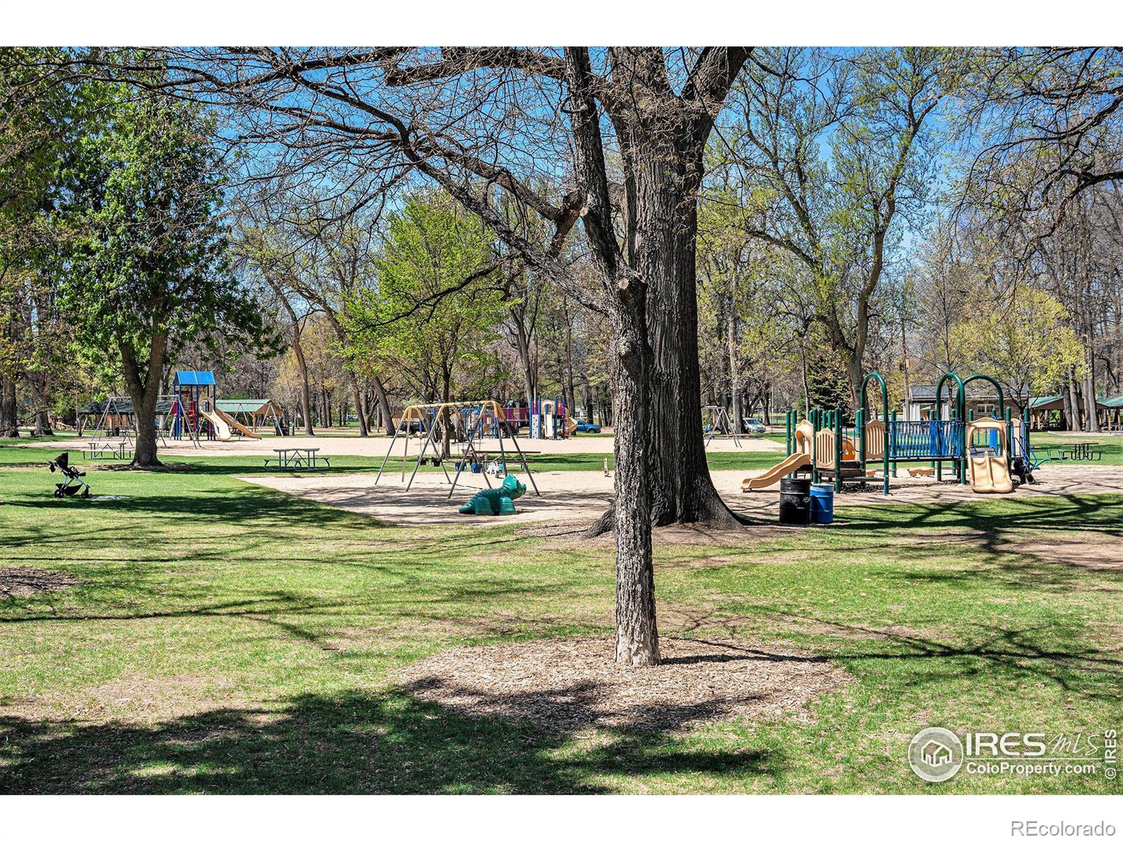 MLS Image #33 for 114  sylvan court,fort collins, Colorado
