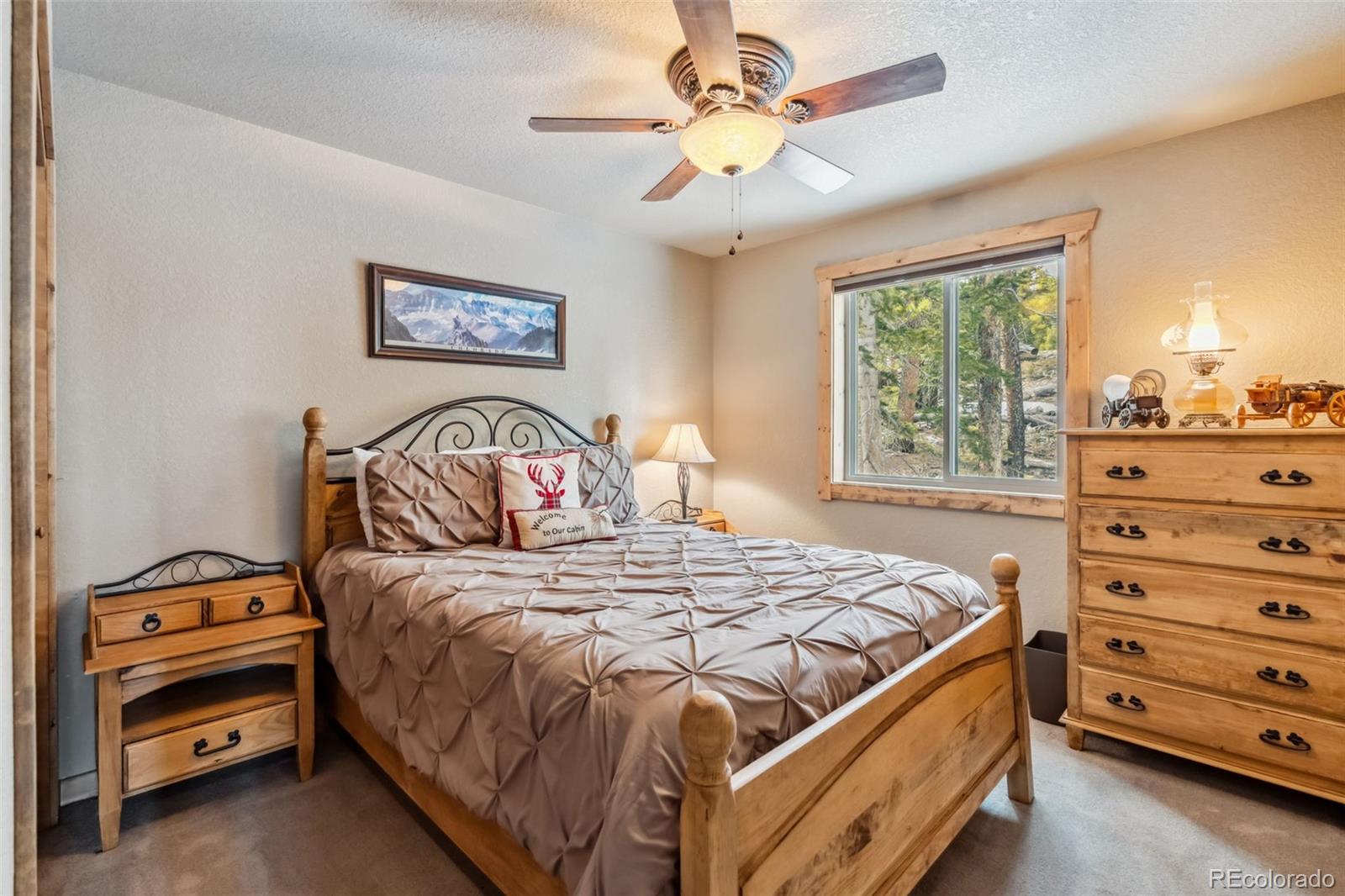 MLS Image #22 for 1074  bobcat lane,fairplay, Colorado