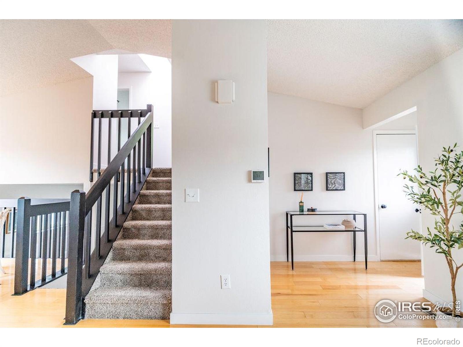 MLS Image #8 for 478  slippery elm court,loveland, Colorado