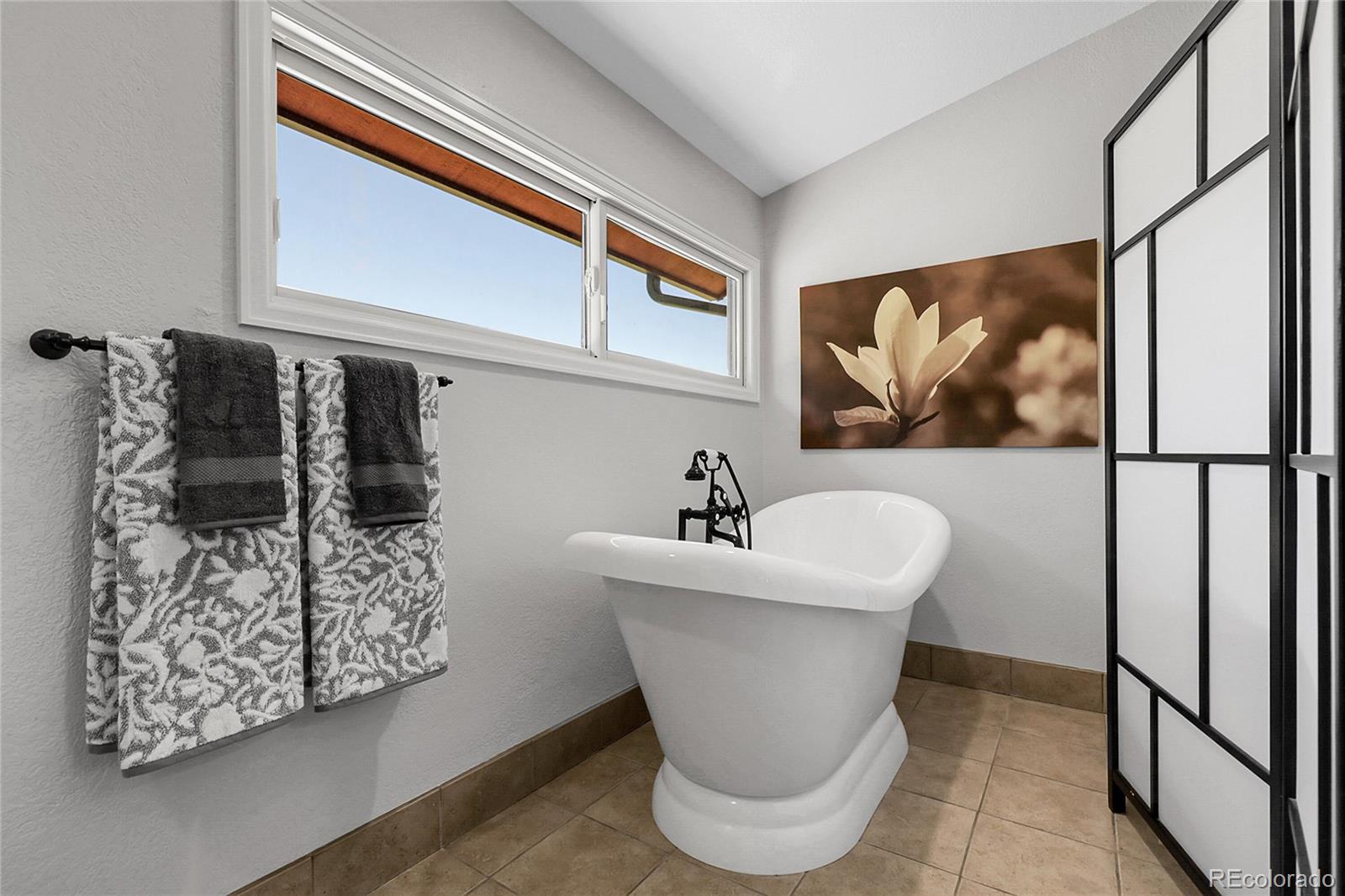 MLS Image #9 for 10991  expedition ,littleton, Colorado