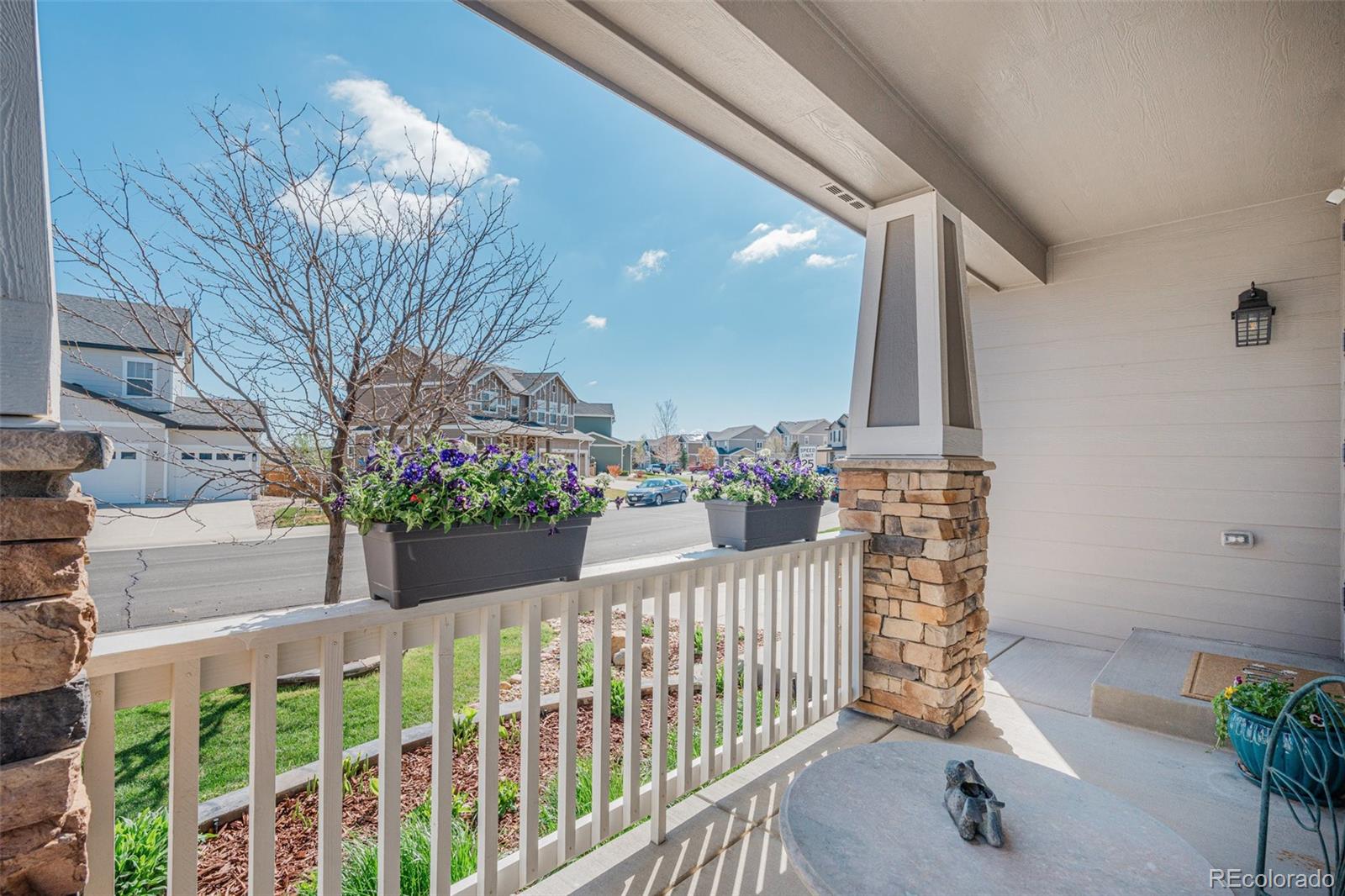 MLS Image #5 for 7665  grady circle,castle rock, Colorado