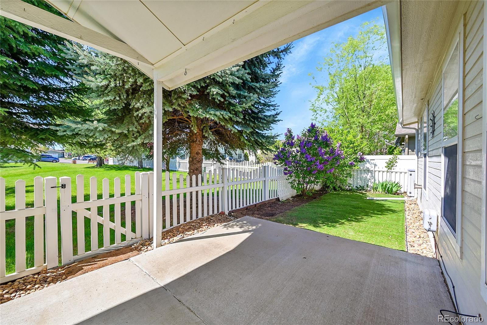 MLS Image #19 for 7870  sunflower green ,frederick, Colorado