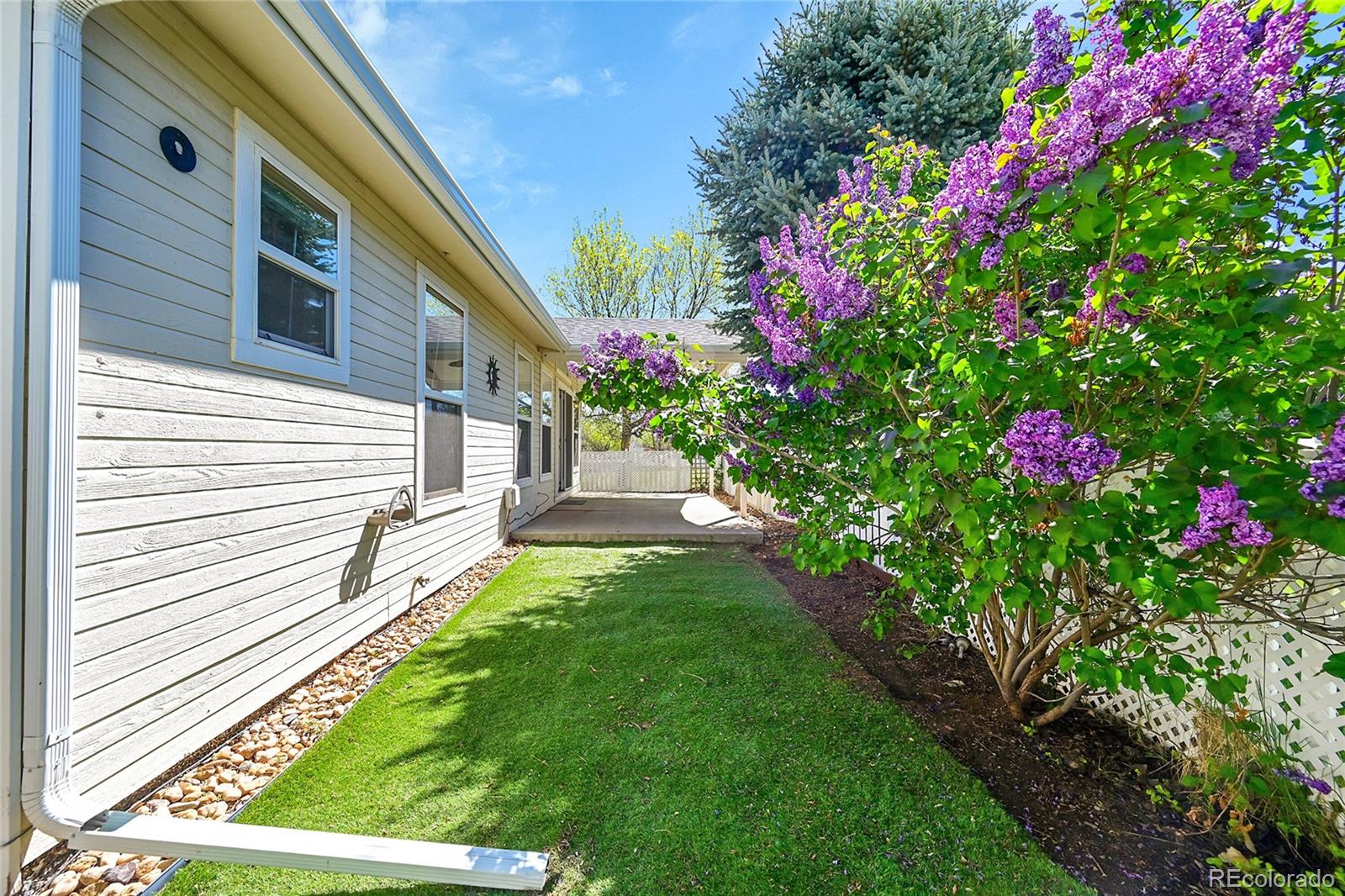 MLS Image #20 for 7870  sunflower green ,frederick, Colorado