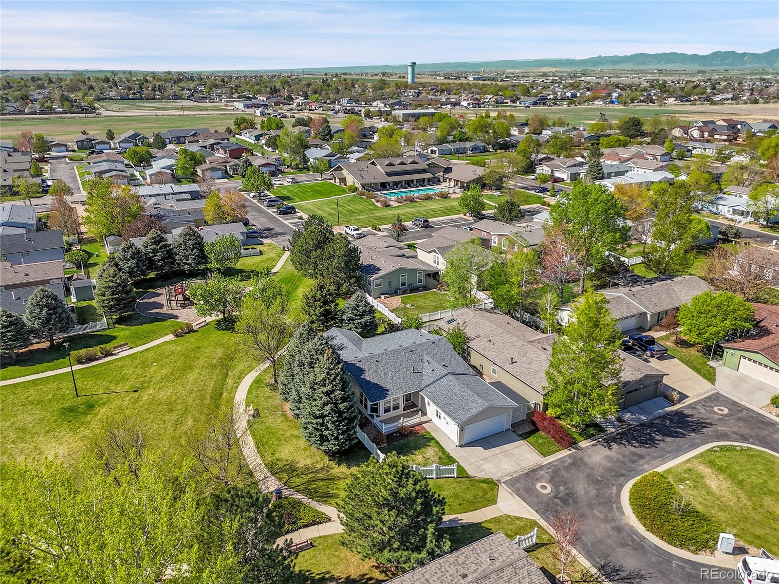 MLS Image #4 for 7870  sunflower green ,frederick, Colorado