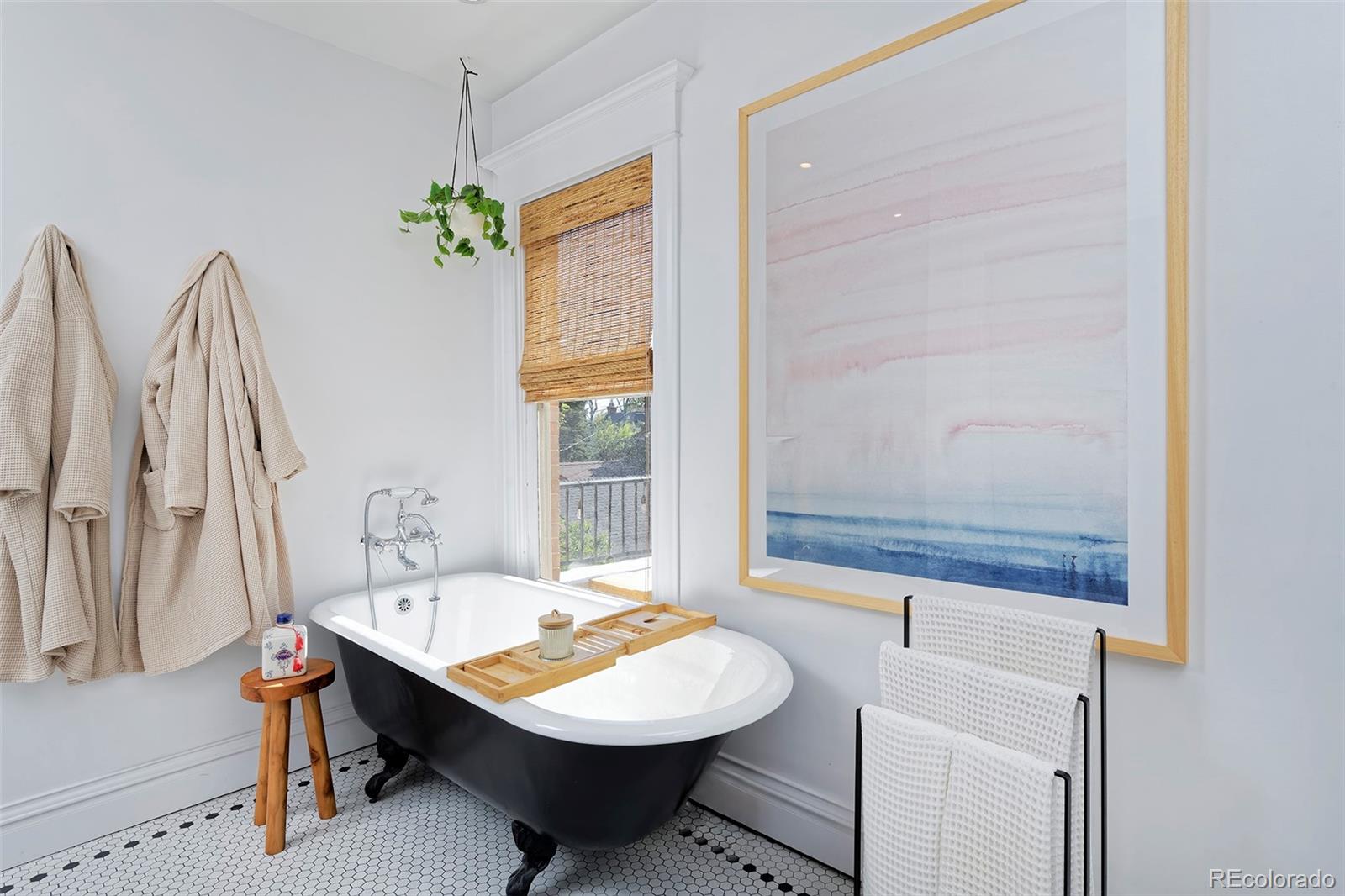 MLS Image #25 for 747 n downing street,denver, Colorado