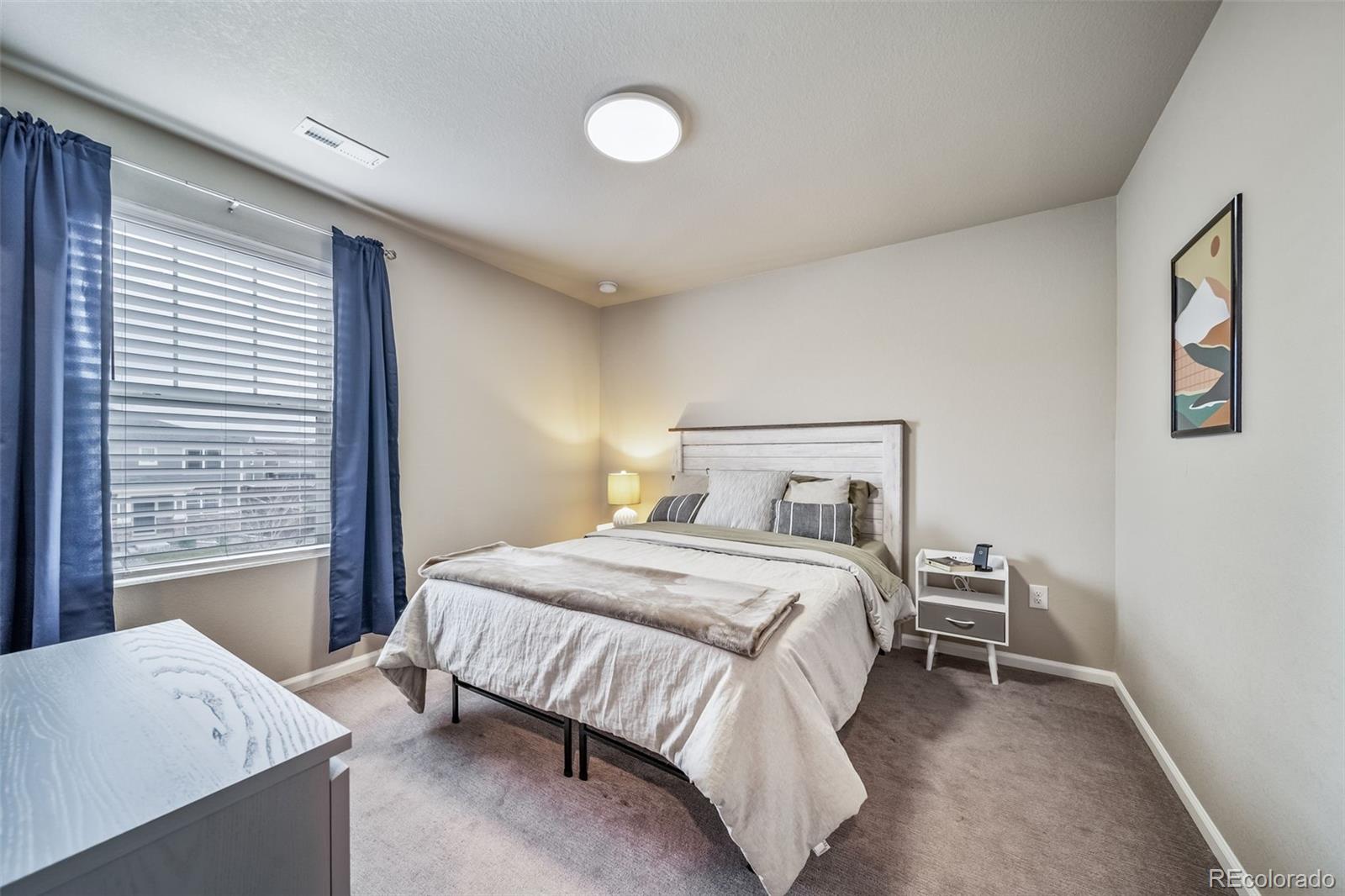 MLS Image #33 for 18103  house finch lane,parker, Colorado