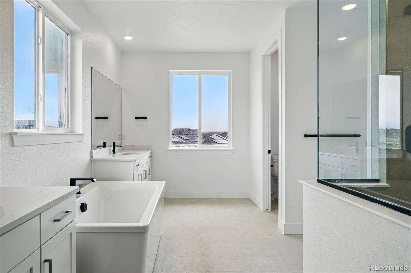 MLS Image #21 for 1667  fox trotter point,castle rock, Colorado