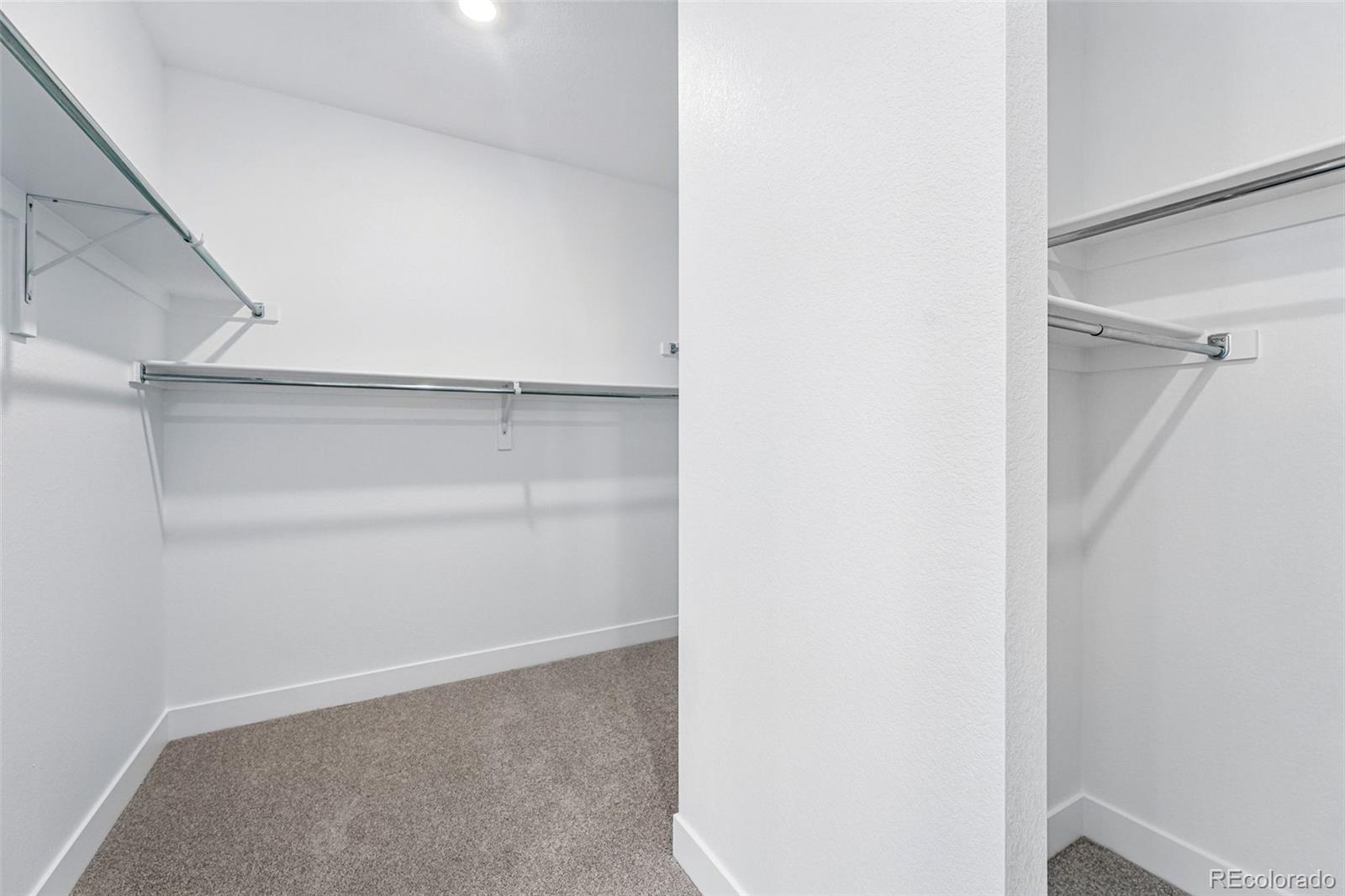 MLS Image #22 for 1667  fox trotter point,castle rock, Colorado